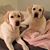 Michelle Ruark's profile image