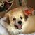 Marjorie O'Donnell's profile image