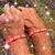 Nadine Willis Eisenga Brinks's profile image