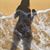 Lisa Drake's profile image