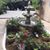 Shirley Fitzgerald Abernathy's profile image