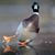 Kurt Wiening's profile image