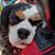 Melissa Collett's profile image