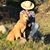Stefanie Coeler's profile image