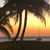 Debbie Sirois Zambarano's profile image