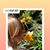 Cindy Freer's profile image