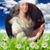 Susan Doug Ewing's profile image