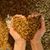 Holly Huehner Schweitzer's profile image