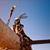 Melissa G Arredondo's profile image