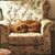 Kathy Doyle Jenkins's profile image