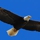 Madeleine M.'s profile image