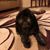 Sue Bordner Sitler's profile image