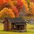Tracy Knutson's profile image