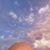 Steve Carr's profile image