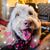 Pilar Fuller's profile image