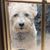 Kelly Parsons's profile image