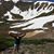 Theresa Bucci's profile image