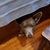 Tracy Richardson's profile image