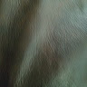 Susan's profile image