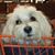 Frank Shanda Anderson's profile image