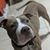 Luna Callejas's profile image