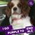 Elaine Chaffee's profile image