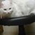 Betty Lent's profile image
