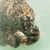 Marcel Lavallee's profile image