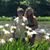 Amy Johnelle Hayes Naylor's profile image