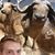 Tyler Wayne Coles's profile image