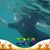 Cheri Colbeck Sellepack's profile image