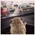 Sarah LS's profile image
