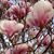 Deb Harrington Salvano's profile image