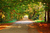 Kristina B.'s profile image