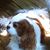 Rhonda Hamilton Feero's profile image