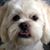JoAnne Kugelman's profile image