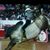 Gabriel Flores's profile image