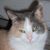 Janet Kulakoski's profile image