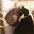 Carrie A Ridenour's profile image