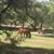 Helen Ovante's profile image