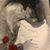 Michelle Price's profile image