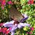 Darlene Arnett's profile image