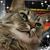 Aubie Aubuchon's profile image