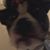 Connor Angel's profile image