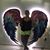 Marluzia Constantino's profile image