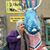 Terry Collier Crook's profile image