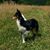 Natalie Clay's profile image