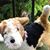 Marcia Werner's profile image