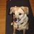 Karen Grano Isett's profile image