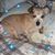 Crystal Guyer's profile image